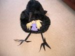 Magpie Fairy Toy